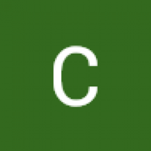 Profile picture for user carolinev