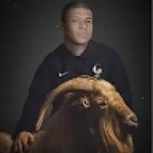 Profile picture for user eliasgeernaert